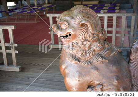土佐神社の狛犬 82888251