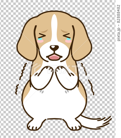 受驚比格犬(檸檬) 受驚比格犬(檸檬) 82888482
