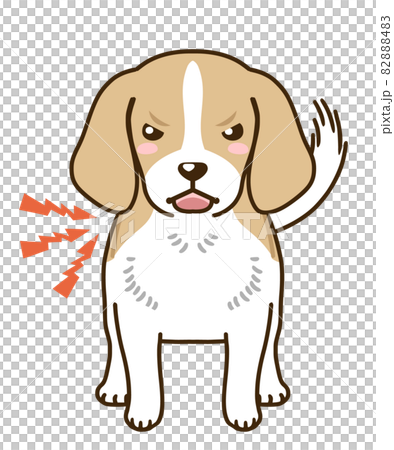 來勢洶洶的小獵犬(檸檬) 來勢洶洶的小獵犬(檸檬) 82888483