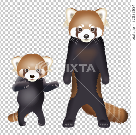 一隻小熊貓的插圖 82888654