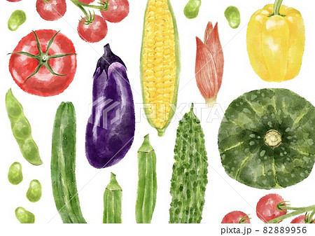 いろいろな夏野菜がいっぱい 水彩風イラストのイラスト素材 8956