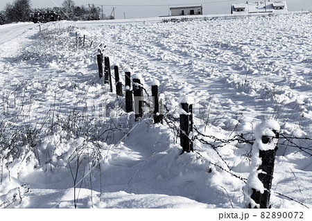 Barbed wire fence with snow 82890072