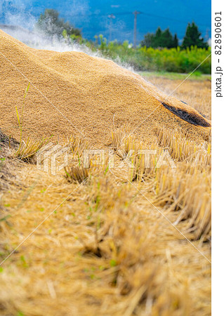 【秋素材】くん炭作り【長野県】 82890601