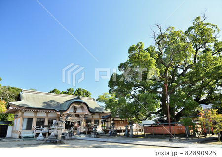 龍田神社　【奈良県生駒郡斑鳩町】 82890925