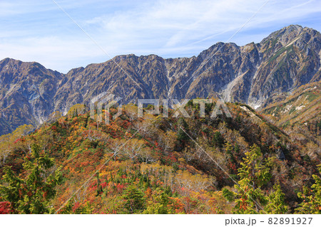 北アルプスの秋　五竜遠見トレッキング　小遠見山から槍ヶ岳、五竜岳の縦走路を望む 82891927