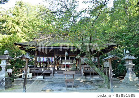 廣瀬大社 【奈良県北葛城郡河合町】 廣瀬大社 【奈良県北葛城郡河合町】 82891989