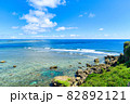 沖縄県宮古島、東平安名崎の風景 82892121