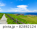 沖縄県宮古島、西平安名崎の風景 82892124