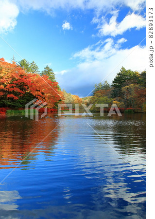 雲場池紅葉 82893173