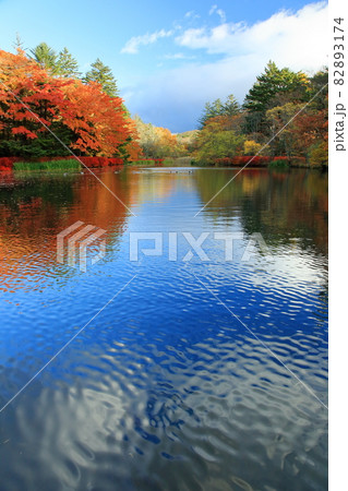 雲場池紅葉 82893174