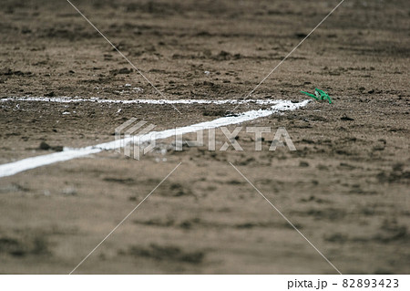 野球やソフトボールのコーチャーズボックスの白線 野球やソフトボールのコーチャーズボックスの白線 82893423