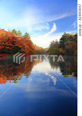 雲場池紅葉 雲場池紅葉 82893647