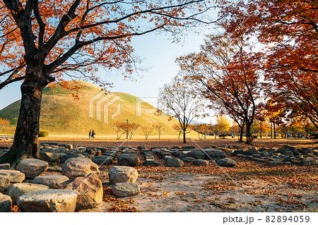 Autumn of Daereungwon ancient tomb in Gyeongju, Korea 82894059