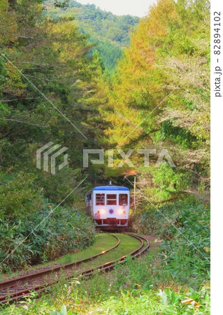 島根県 奥出雲おろち号と紅葉の写真素材 4102