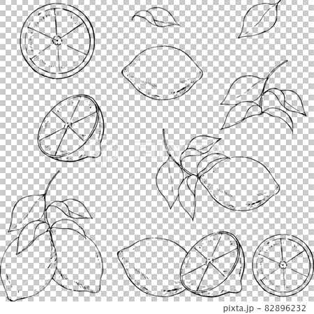 レモンの線画 レモンの線画 82896232
