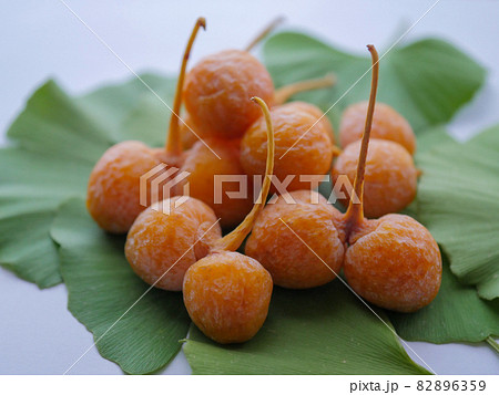 ギンナンの実4 ギンナンの実4 82896359