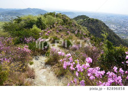 高御位山　登山道　（兵庫県加古川市　高砂市） 82896858