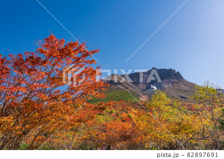 (栃木県)那須岳 紅葉が美しい、姥ヶ平から見上げる、茶臼岳山頂 (栃木県)那須岳 紅葉が美しい、姥ヶ平から見上げる、茶臼岳山頂 82897691