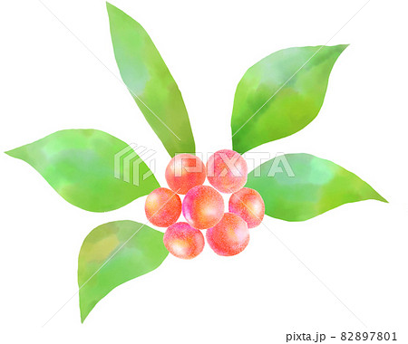赤い実 赤い実 82897801