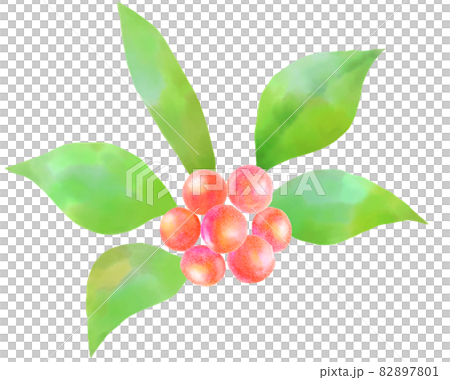 赤い実 赤い実 82897801