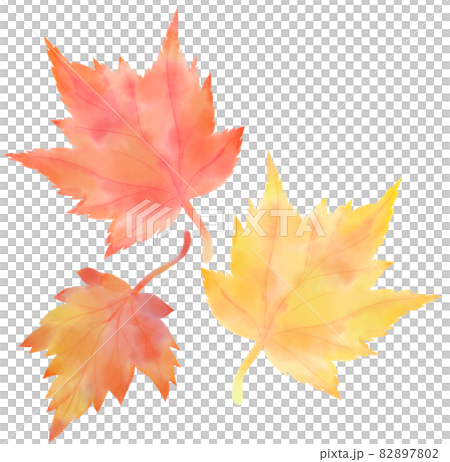 3 maple leaves 82897802