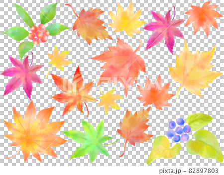 Various fallen leaves 82897803