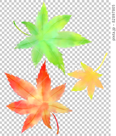 3 leaves of autumn leaves 82897805