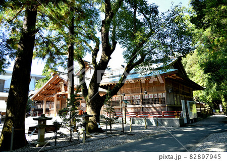 猿田彦神社(拝殿)　【三重県伊勢市】 82897945