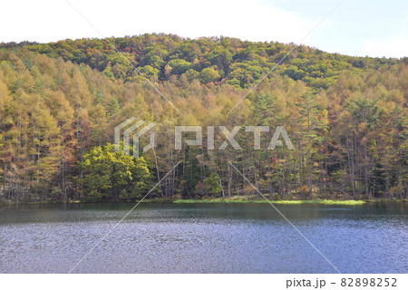 御射鹿池 長野県茅野市 御射鹿池 長野県茅野市 82898252