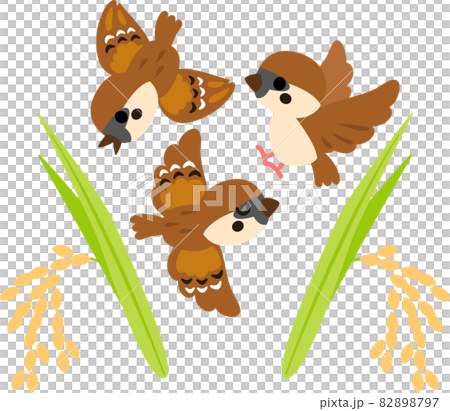 3 sparrows and ear of rice 82898797