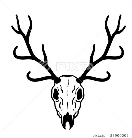 Skull of deer. Hunting trophy with horns. - Stock Illustration