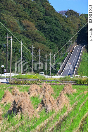 稲わらと水道坂《愛川町》 82901013