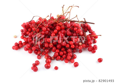 Schisandra Chinensis isolated on white Schisandra Chinensis isolated on white 82901493