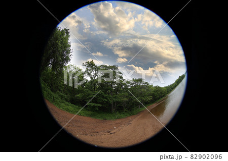 Sea, forest and clouds. Circular fisheye photo 82902096