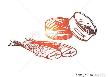 Food, seafood, fish, tuna, canned food concept. Hand drawn isolated vector. 82902657