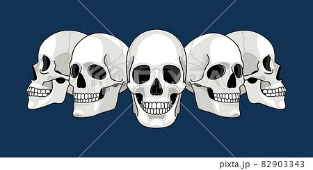 Skull head profile. Human skulls profiles picture, front and side scull bones, skeleton faces, different sides dead man heads cartoon drawing vector Skull head profile. Human skulls profiles picture, front and side scull bones, skeleton faces, different sides dead man heads cartoon drawing vector 82903343