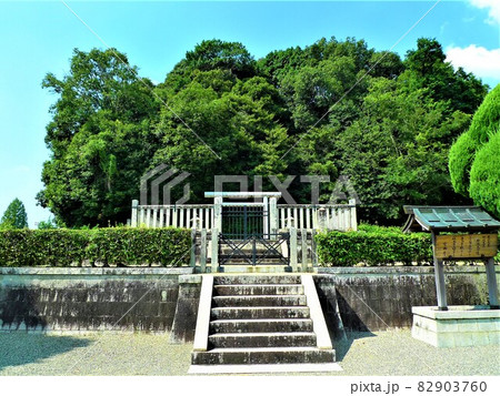 天武天皇 持統天皇、檜隈大内陵、ひのくまのおおうちのみささぎ、こんもりと茂る森と鳥居に続く階段 天武天皇 持統天皇、檜隈大内陵、ひのくまのおおうちのみささぎ、こんもりと茂る森と鳥居に続く階段 82903760