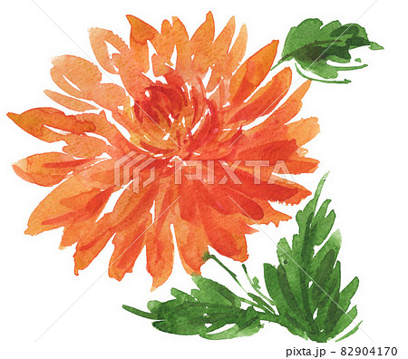 dahlia211011pix7 82904170