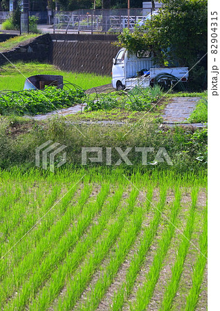 穭田と不動の軽トラ《厚木市》 82904315