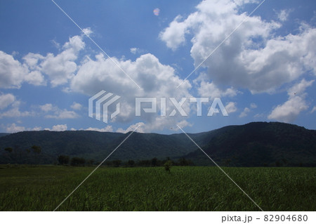 風景・尾瀬・湿原と山 82904680