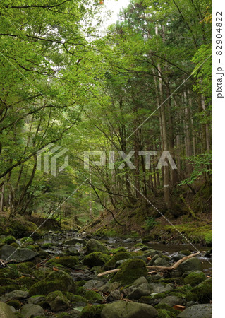 大悲山 小川 大悲山 小川 82904822
