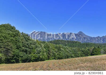 刈り終わった蕎麦畑と戸隠連山 82904961