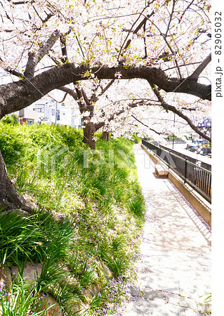 大堀川花の道公園 大堀川花の道公園 82905032