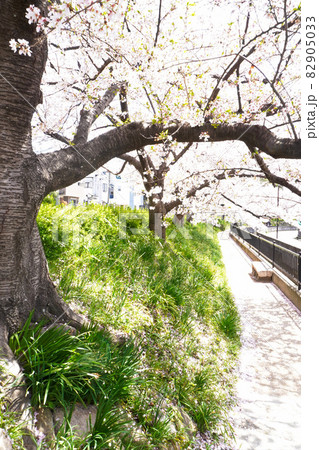 大堀川花の道公園 82905033