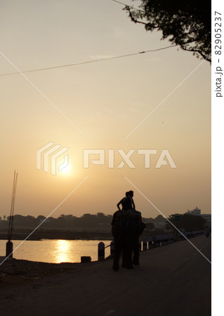 インド・ブッダガヤ 象に乗って川を渡る男性 82905237