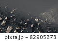 Asteroid Field Attraction 82905273