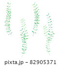 小ぶりな葉っぱの野の草 82905371