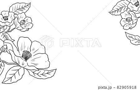 シンプルな線画の椿の背景イラストのイラスト素材
