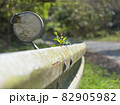 苔むしたガードレール 82905982