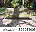 公園のベンチ 82905986